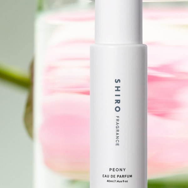 校花都用這款！讓人忍不住回頭的初戀系香氣，SHIRO限定香「牡丹」限量上市