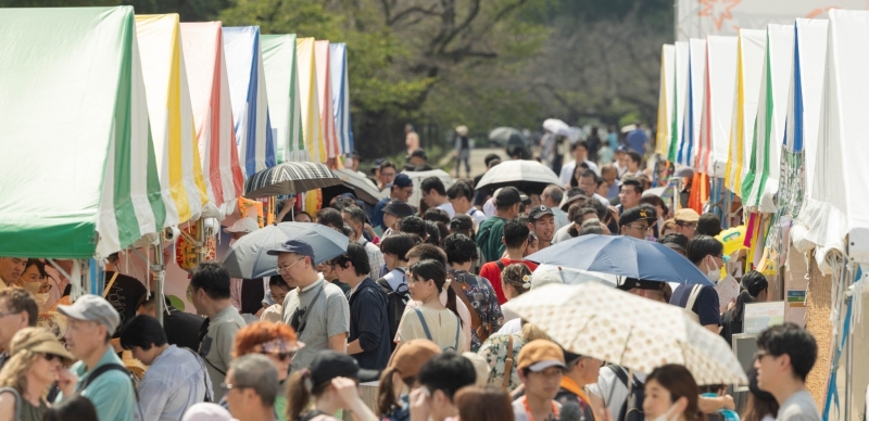 日本哈台族擠爆文總「TAIWAN PLUS」 霞海月老紅線牽兩國情誼