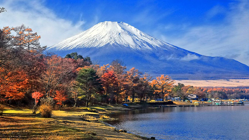 富士山 x 紅葉神組合!關東美照拍攝景點10選
