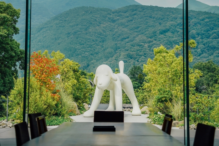 2025年台灣日本新航線總整理：台北・台中・高雄出發，星宇、華航、虎航等最新班表一次看！