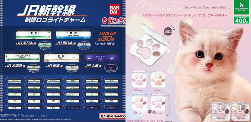 【轉蛋速報】這個貓貓肉球眼影太犯規了吧？現在去日本就要找這些機台來轉！