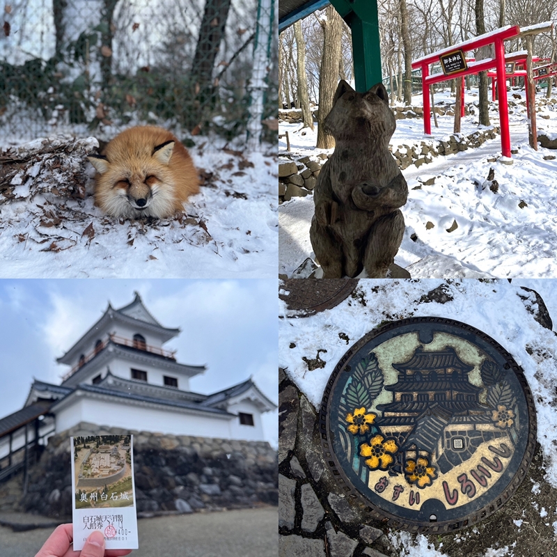 雪地裡的圓滾滾狐狸們太可愛啦！宮城縣藏王狐狸村+白石城一日遊