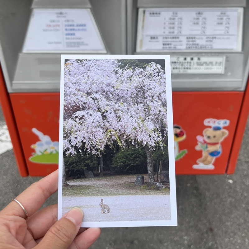 日本全家、LAWSON印明信片超簡單!一張不到100日幣超高CP值