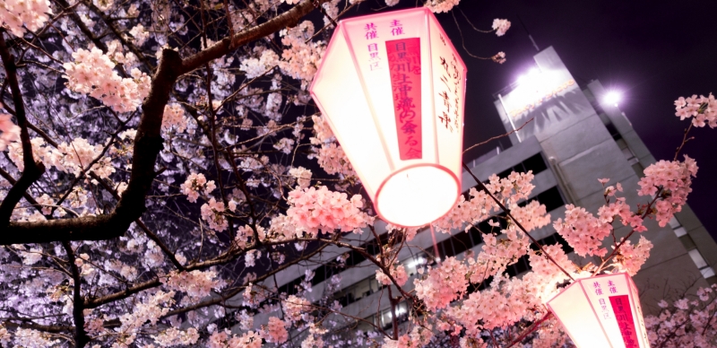 東京賞櫻最前線 首選熱區目黑川櫻花 順遊「中目黑」三家風格名店