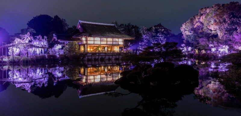 賞夜櫻必訪！京都平安神宮「櫻音夜2026」紅枝垂櫻點燈 × 春夜音樂會浪漫登場