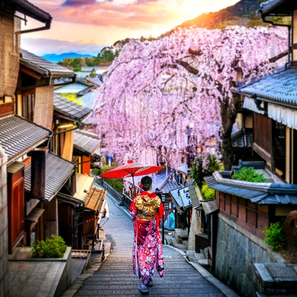 日本迎接外國旅客動起來!2022京都最新旅行須知&漲價設施整理、關空特急列車「HARUKA」恢復班次