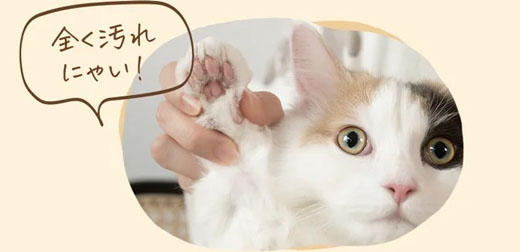 完全不髒手寵物印泥ぺったち．和自家愛貓愛狗一起完成世界最可愛的作品！