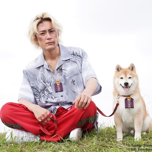 黃金三法則「友情、努力、勝利」看這部日劇！《難破MG5》 熱血迎向完結篇 柴犬演員殺青竟獲間宮祥太朗送「大」禮