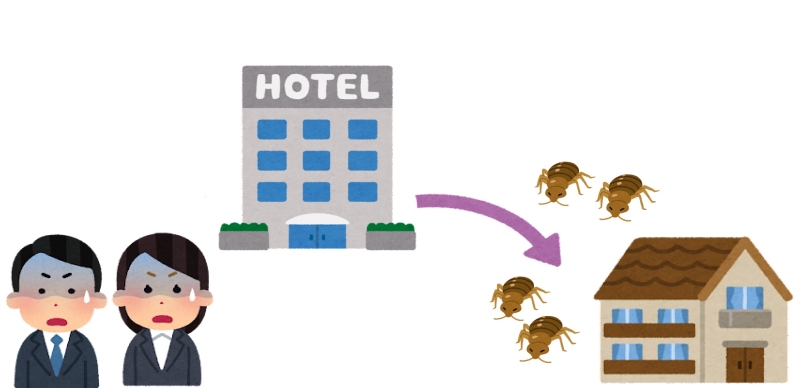 臭蟲入侵日本中！防床蝨六招讓大家開心出門安心回家