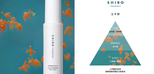 SHIRO限定香當家花旦再登場！只有金木樨能超越金木樨