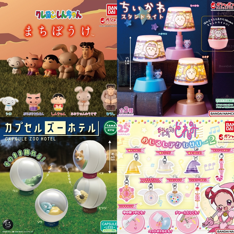 【轉蛋速報】不耐又無奈的廣志太好笑了吧！2024年5月最新轉蛋情報都在這