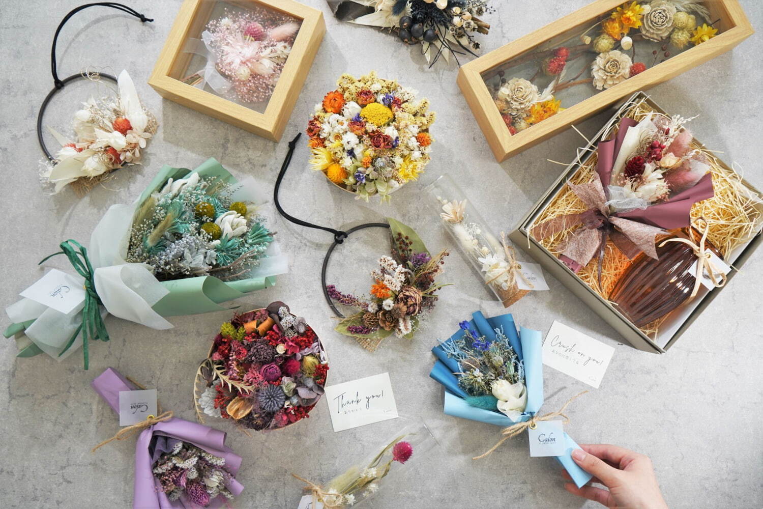 Calon_DRY_flower_乾燥花_永生花