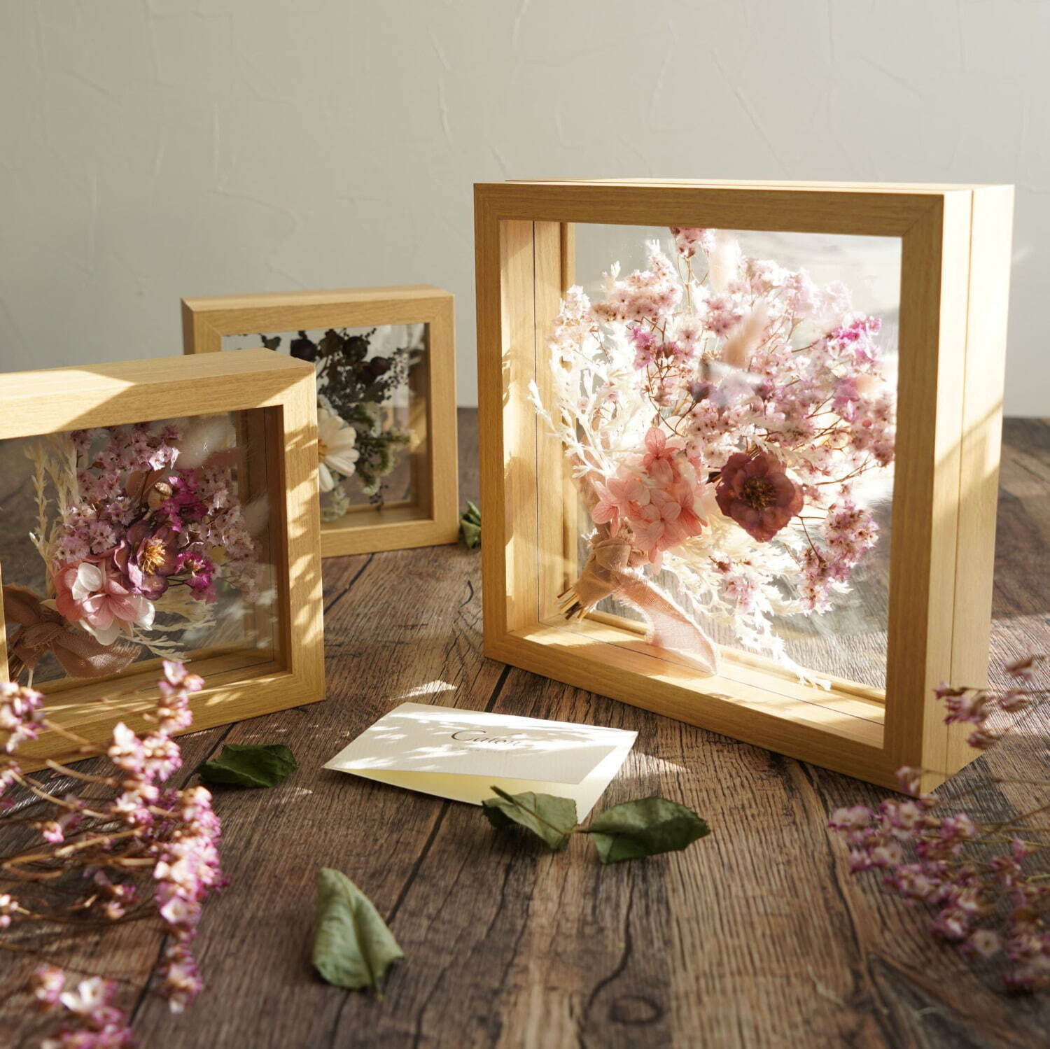 Calon_DRY_flower_乾燥花_永生花