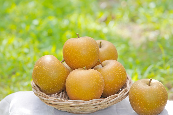 中秋送禮不送月餅改送夢幻水梨如何送鳥取縣產地直送的「新甘泉梨二十世紀梨」13