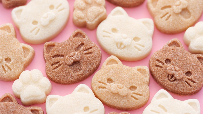 貓咪造型砂糖