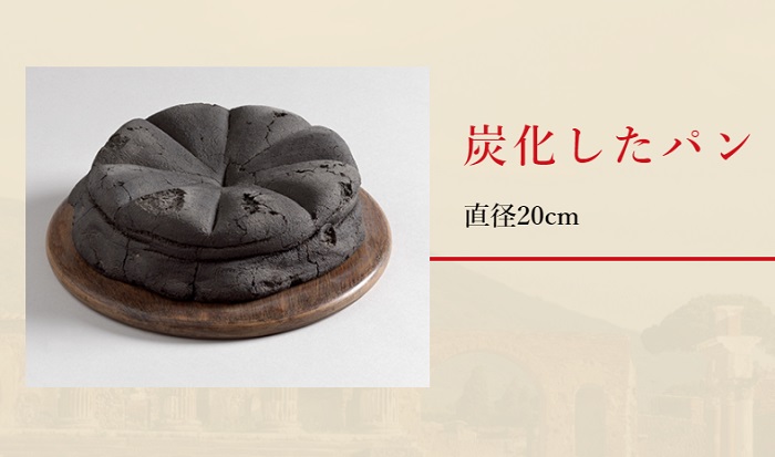 龐貝特展 碳化麵包