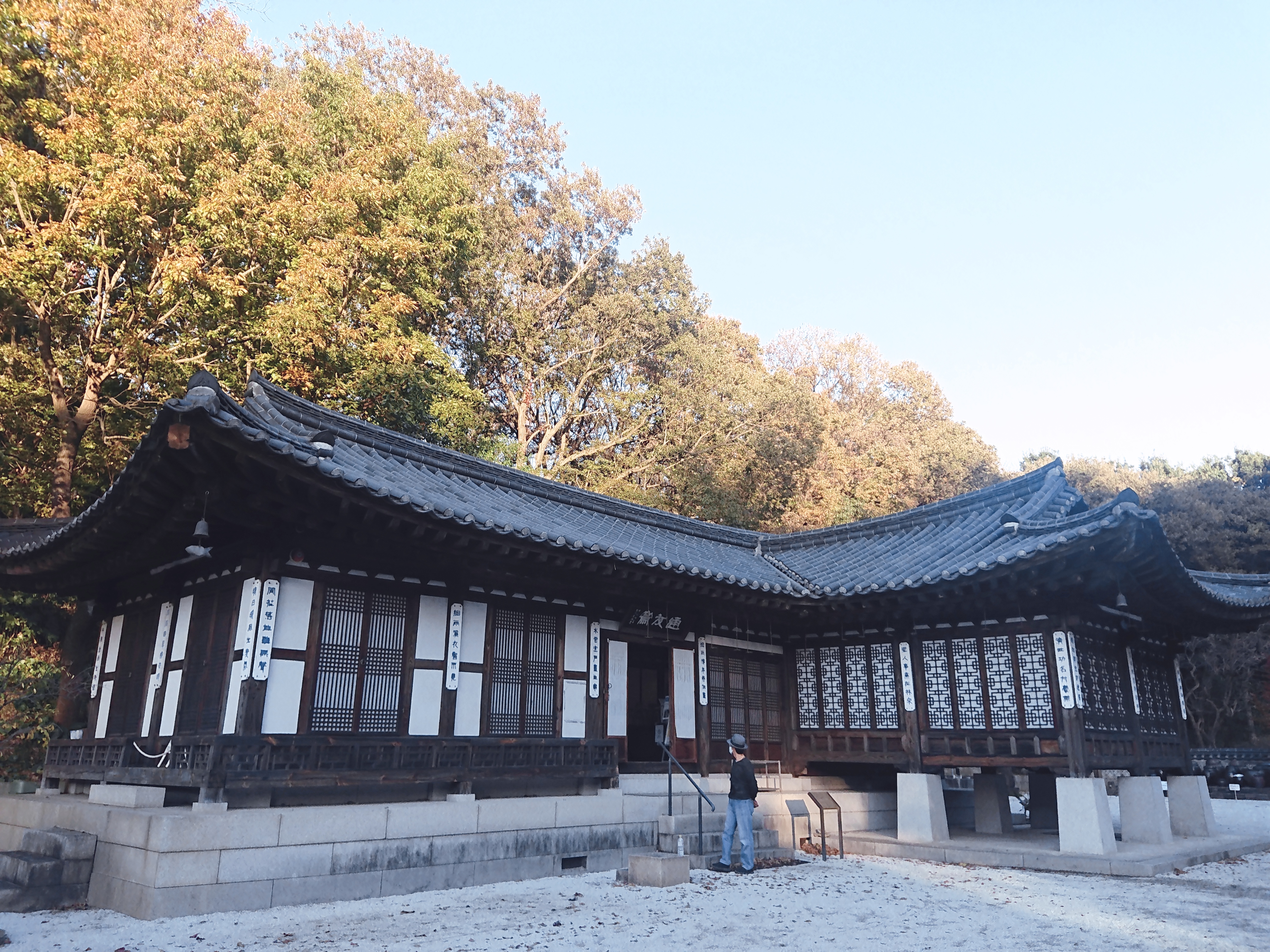 神奈川櫻花私房景點