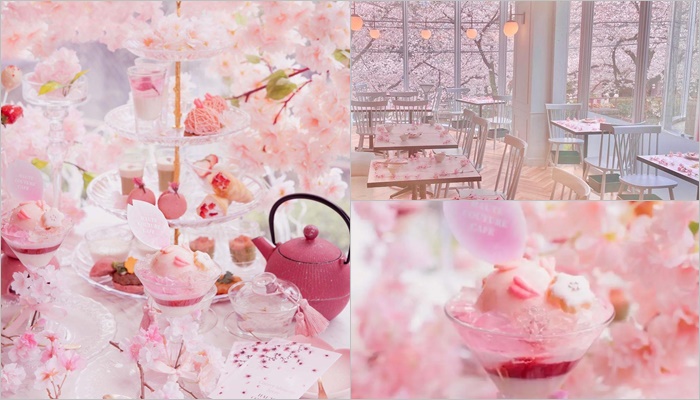 HAUTE COUTURE CAFE