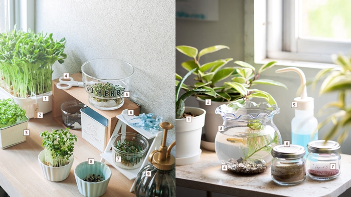 SERIA植栽用品