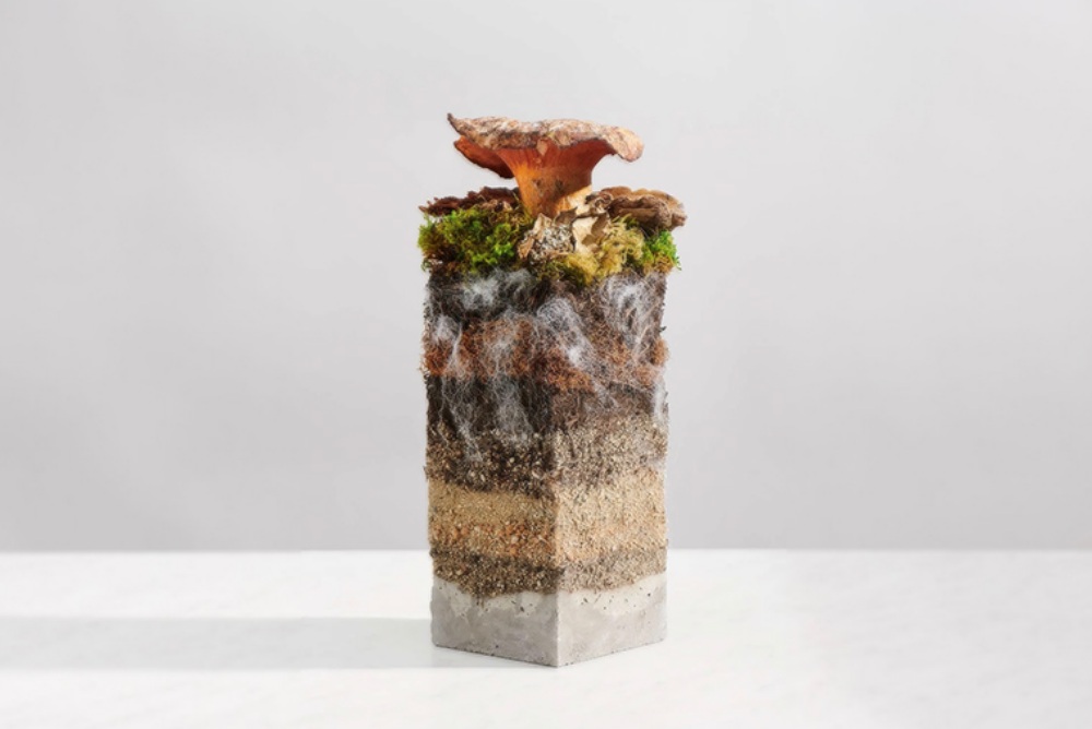 Mylo™ 蘑菇皮革