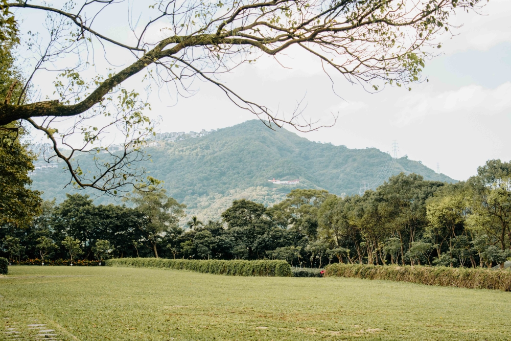 霓虹綠洲音樂祭