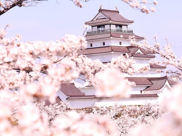 福島 鶴之城・天守閣 & 茶室麟閣入場門票