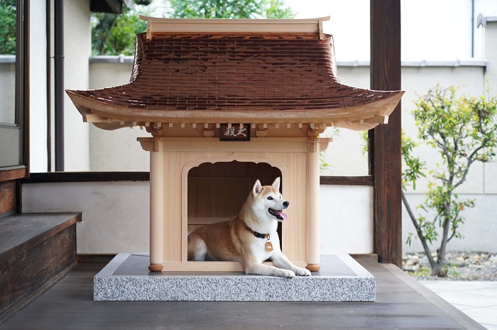 犬小屋 日本木材使用-