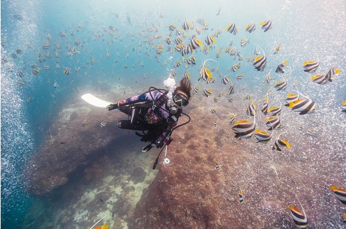木村文乃海旅IG