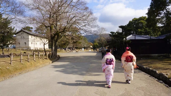 和服、浴衣體驗