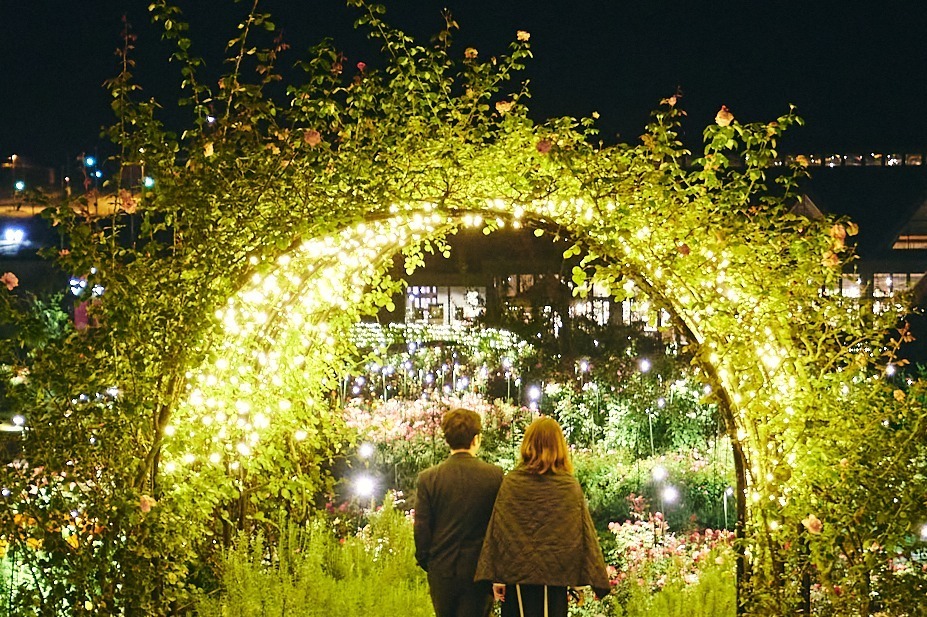 moonlight-rose-park_夜光玫瑰園_ムーンライト ローズ ガーデン