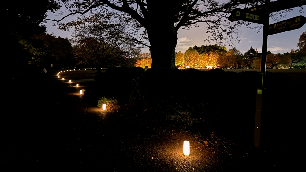 NAKED紅葉新宿御苑香氛小徑