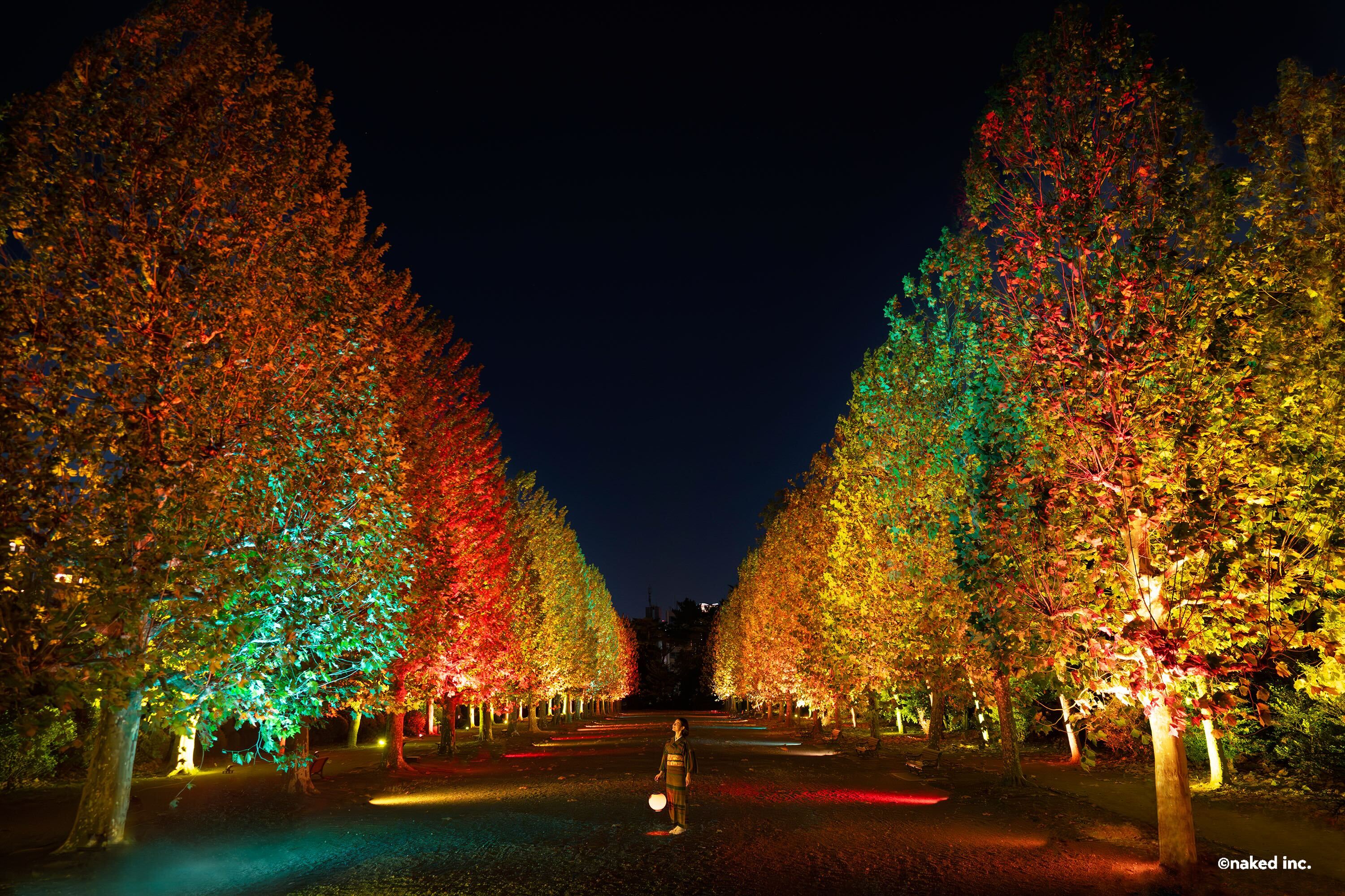 NAKED紅葉新宿御苑秋風