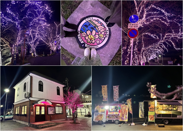 一目千本櫻燈光秀