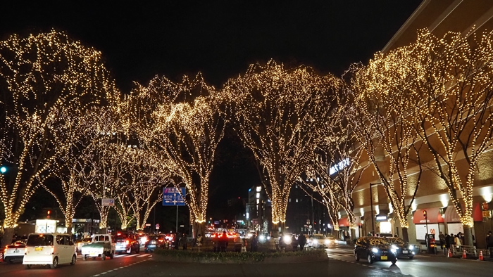 2023 SENDAI光のページェント