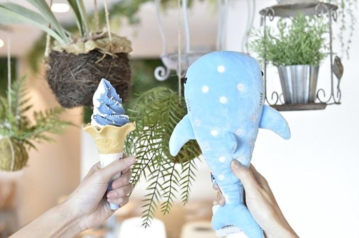 「ジンベエソフト」冰淇淋