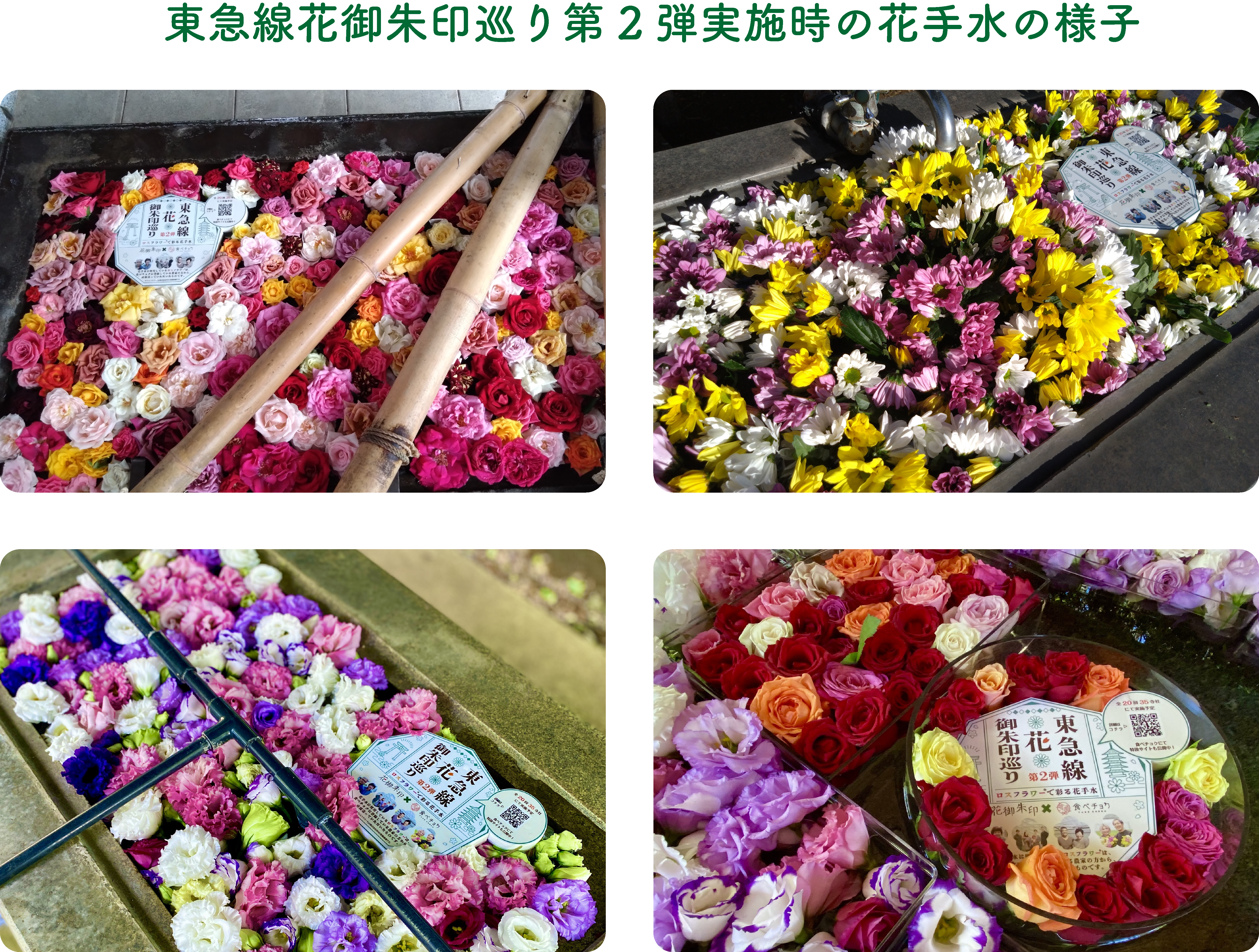 東急線花御朱印之旅_花手洗