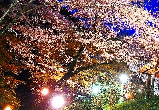 奥河内さくら公園