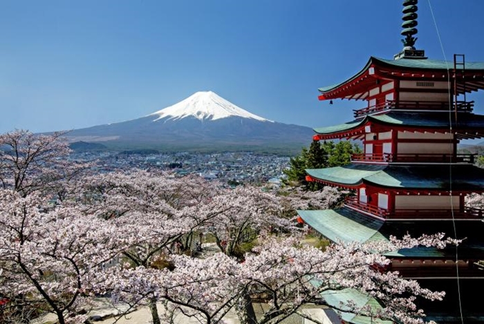 Rekomendasi Tempat Melihat Bunga Sakura di Taman Asama Tokyo-Shinkurayama