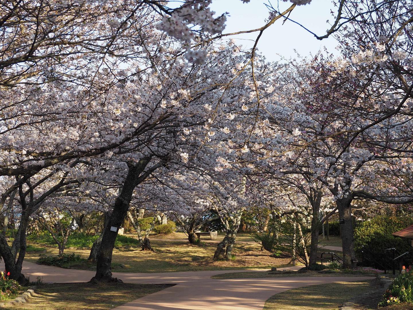 白野江植物公園