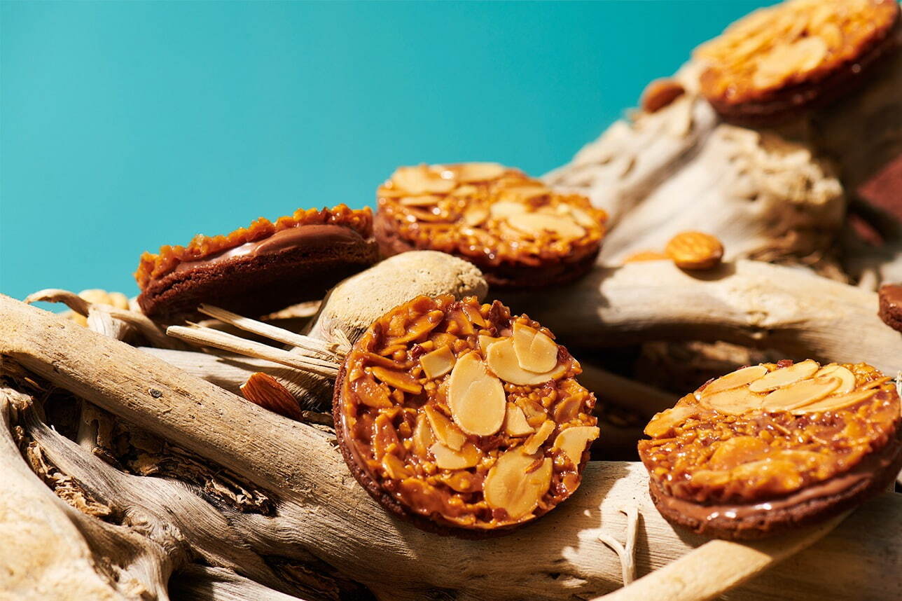 佛羅倫汀巧克力夾心餅