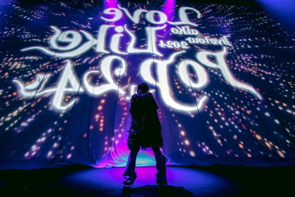 <sup>日本武道館／Photo by 岡田貴之</sup>