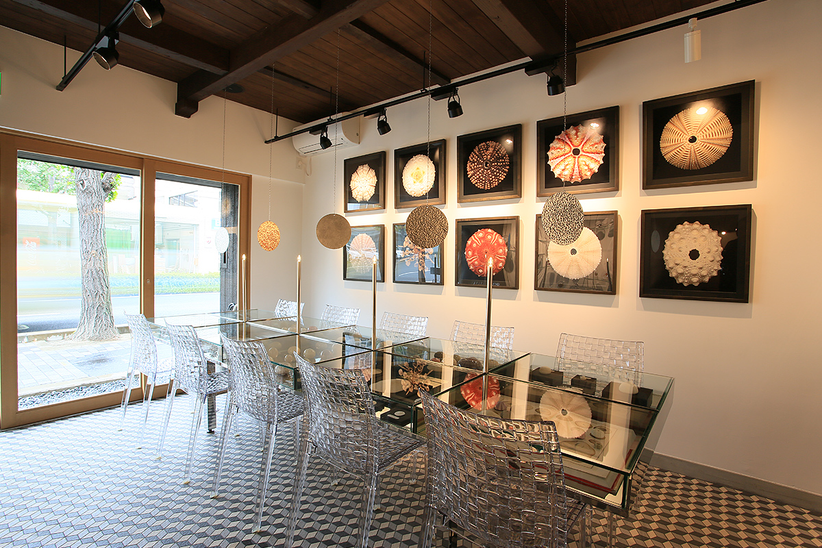 ウサギノネドコcafe