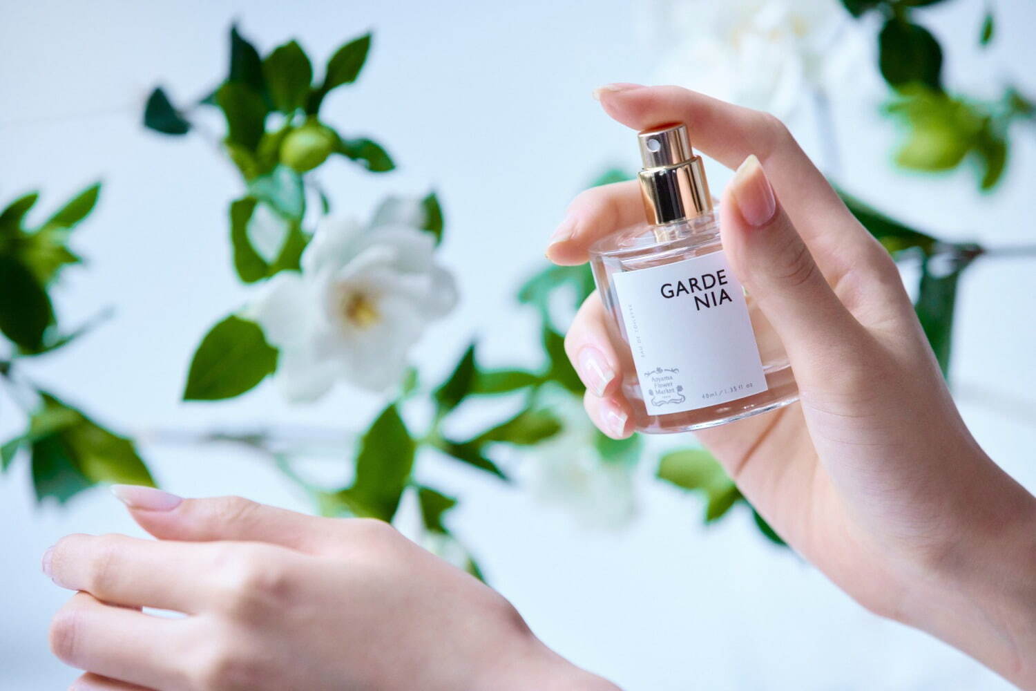 青山花市 2024夏日香氛