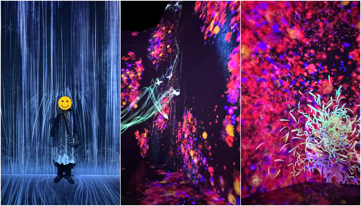 teamlab_borderless_無界_展出空間