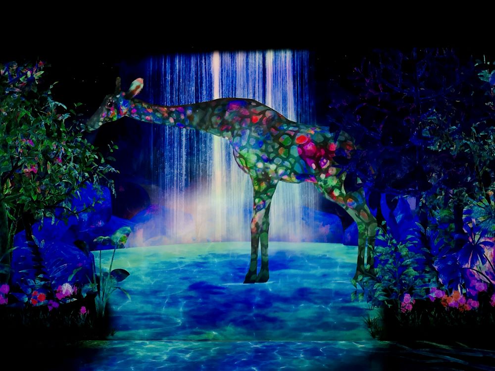 teamLab_Forest_Fukuoka_捕捉之森