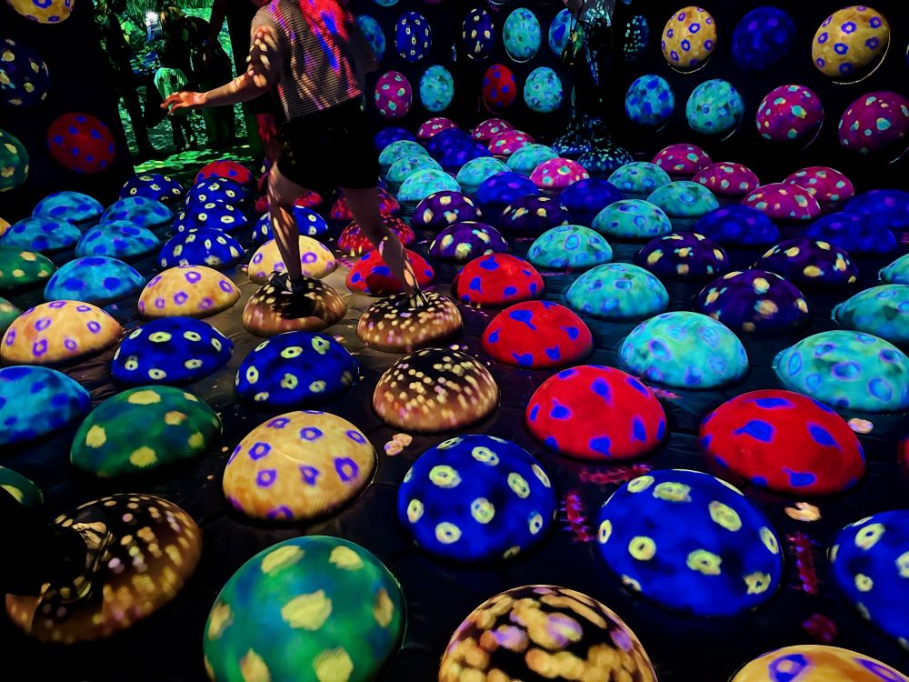 teamLab Forest Fukuoka_運動森林_Rapidly Rotating Bouncing Spheres in the Caterpillar House