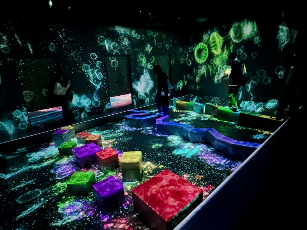 teamLab Forest Fukuoka_運動森林_連接微觀世界的平衡石 / Balance Stepping Stones in the Invisible World