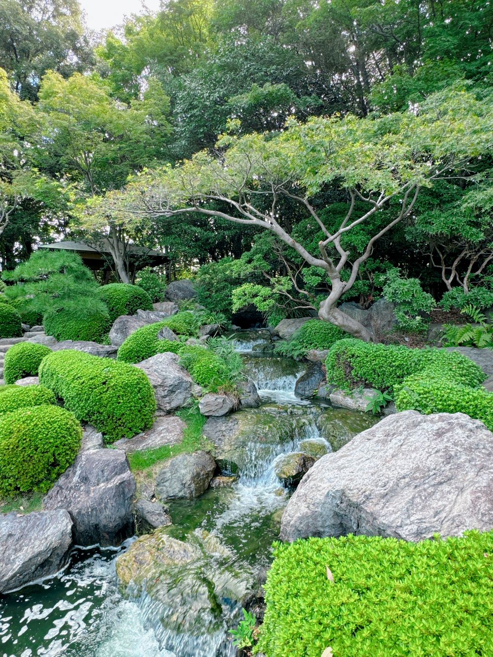 大濠公園日本庭園_溪流瀑布