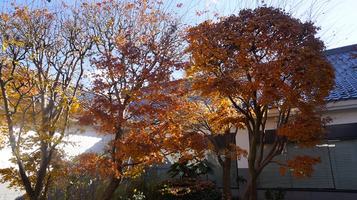 川越市立美術館