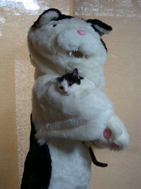 童年少女漫畫家森永愛